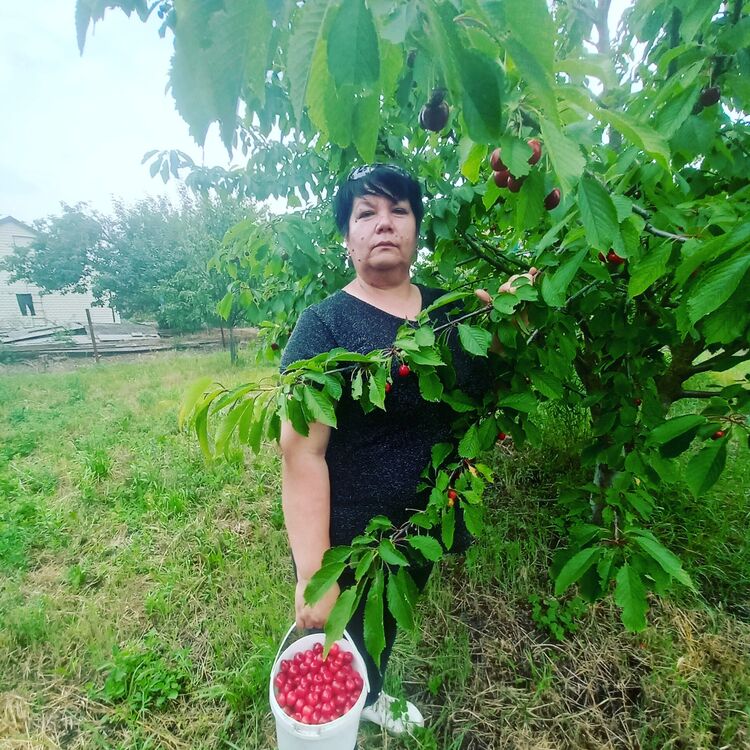  ,   , 51 ,   ,   