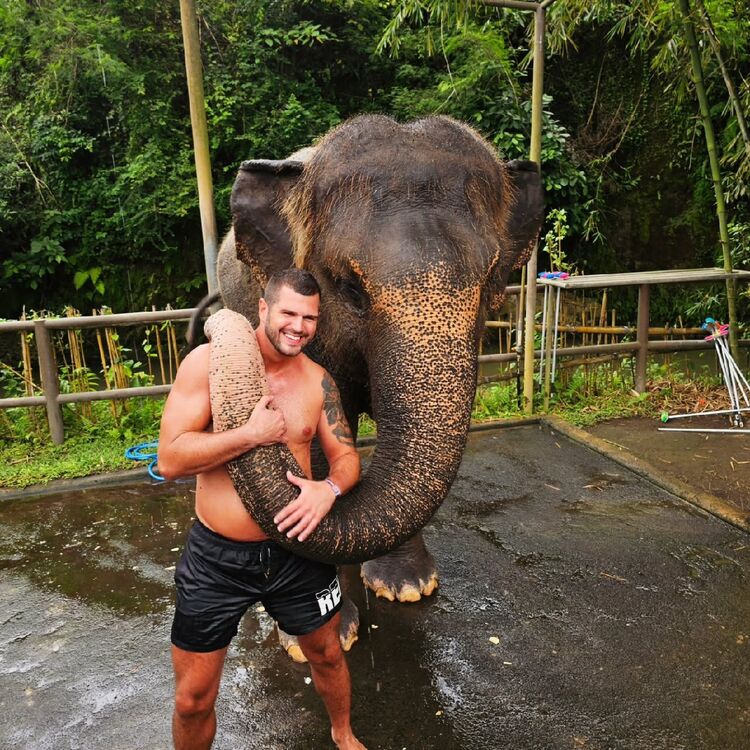 ���������� ���������, ���� ������� �����, 38 ���, ������������ ��� ������, ����� � ���������, c�������� ���������, ���������