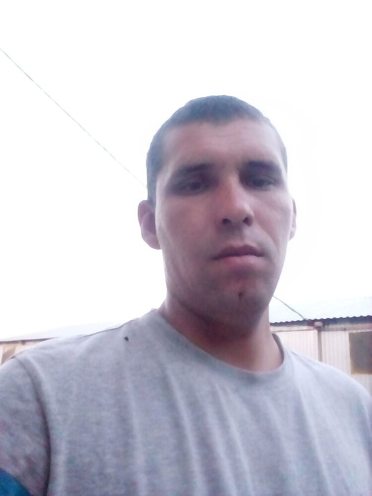  16544808  , 33 ,    