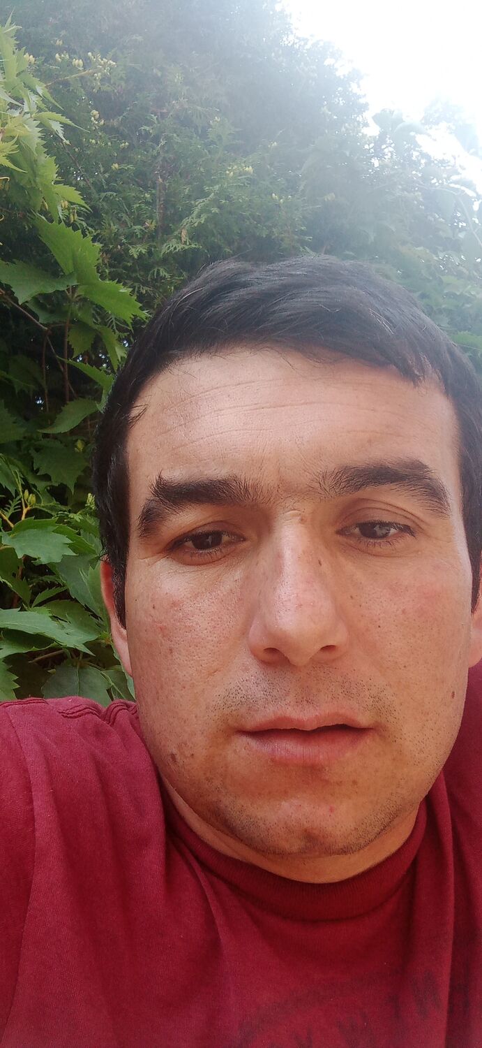 ���� 28256588 ������� ����, 26 ���, ���� ���������� � ������