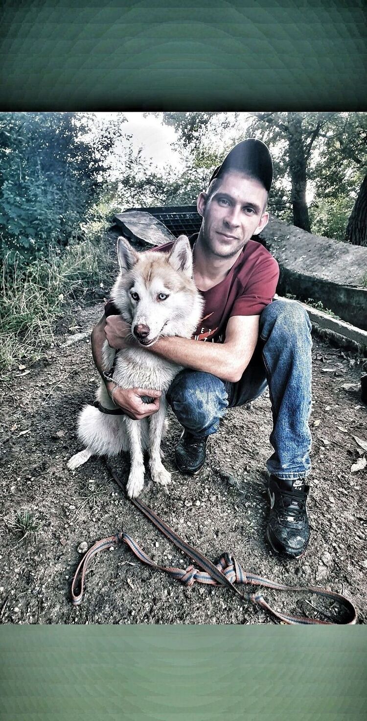 ���������� ���������, ���� ������� ���������, 36 ���, ������������ ��� ������, ����� � ���������