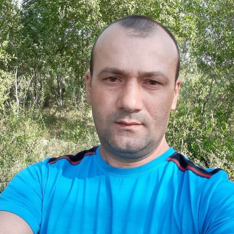  27530728  , 43 ,    -