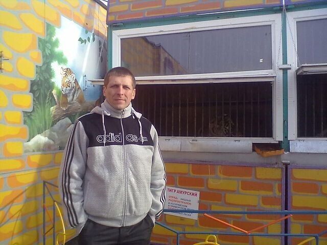 ���� 53027008 ������� �����, 49 ���, ���� ���������� � �������