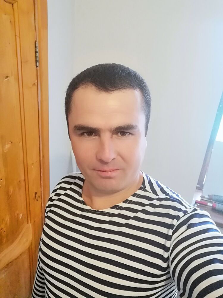  36518708  , 41 ,    -