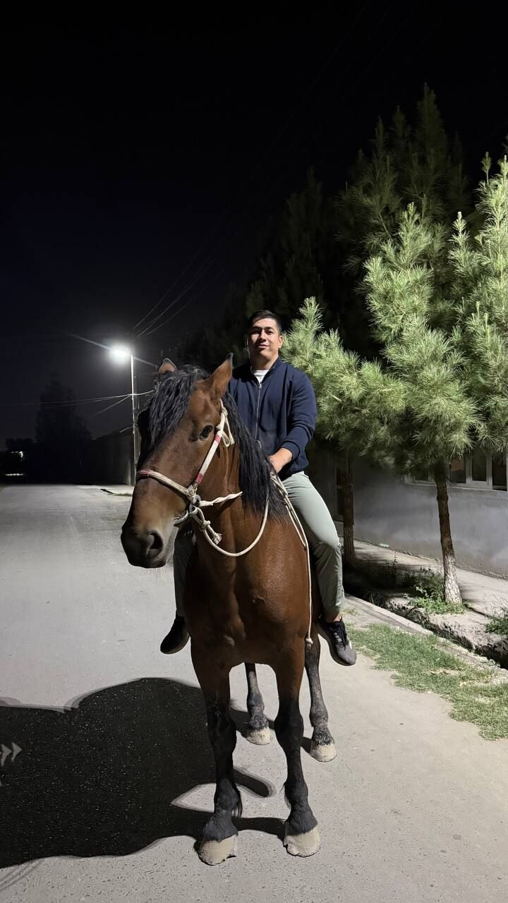  53962948  Makhmud, 30 ,    Warszawa