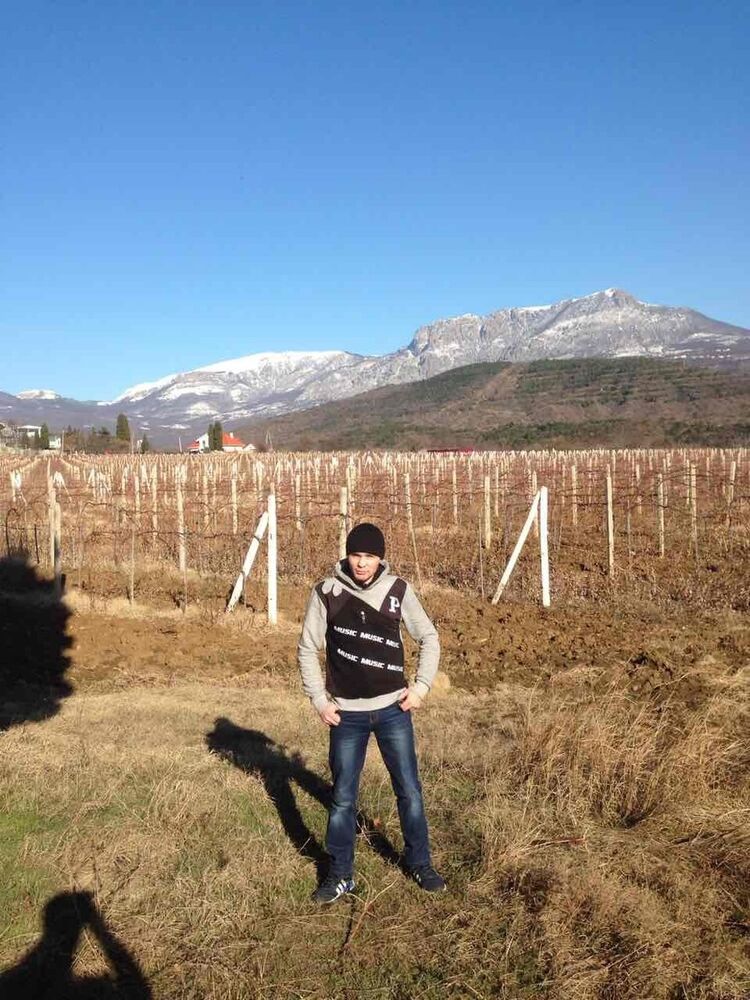 ���� 8657098 ������� �������, 38 ���, ���� ���������� � ����