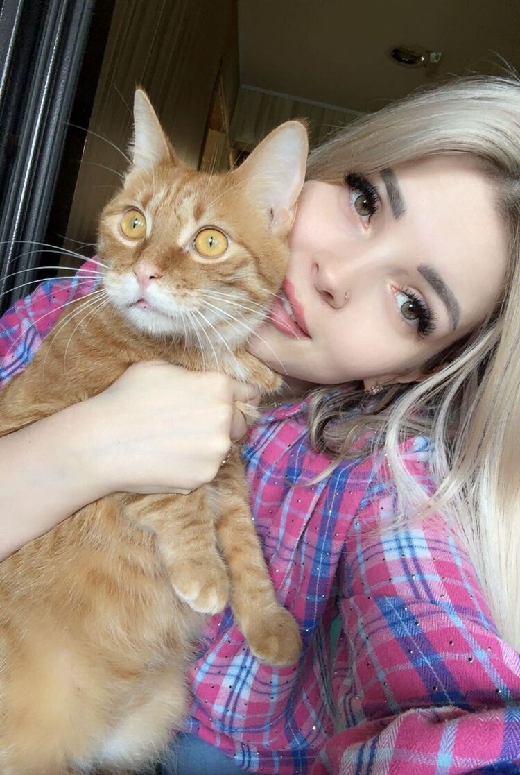  54589388  , 34 ,    -