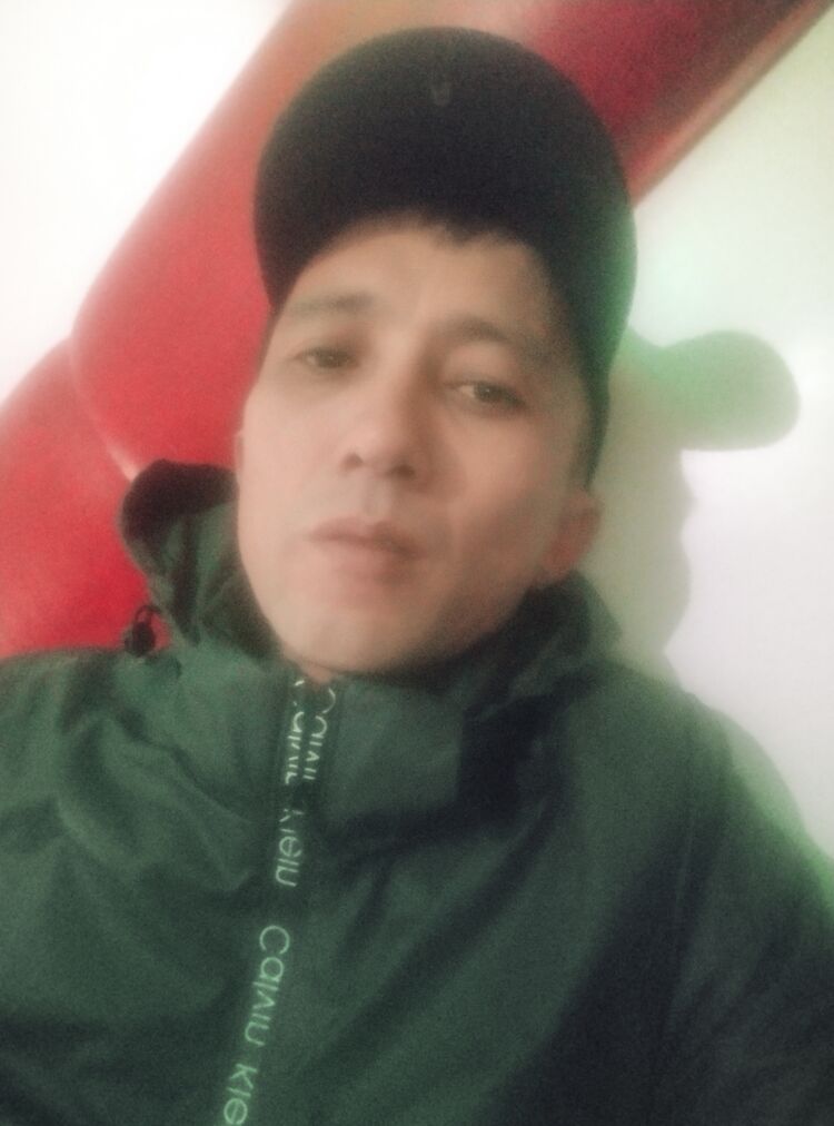  38900538  , 41 ,    