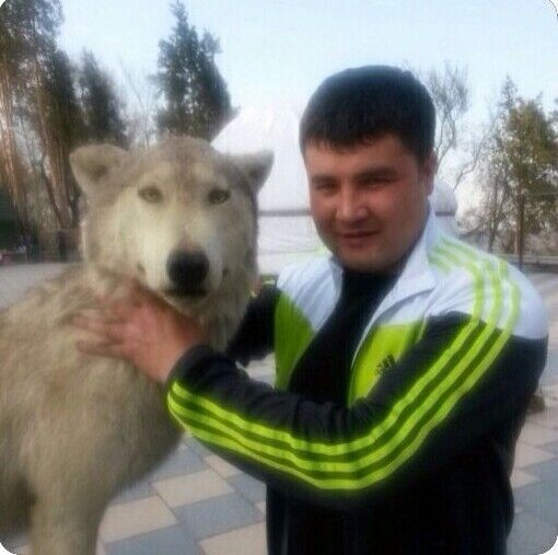  9954068   , 38 ,    -