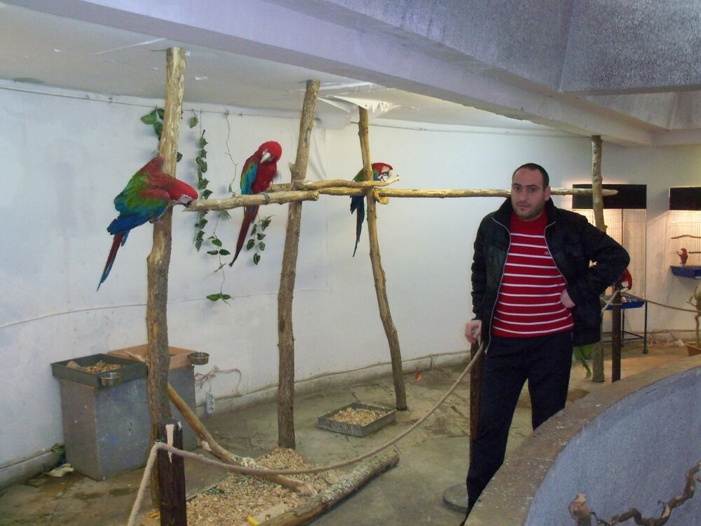 ���������� ������, ���� ������� YURA, 47 ���, ������������ ��� ������