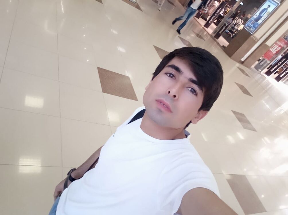  33604888  , 31 ,    