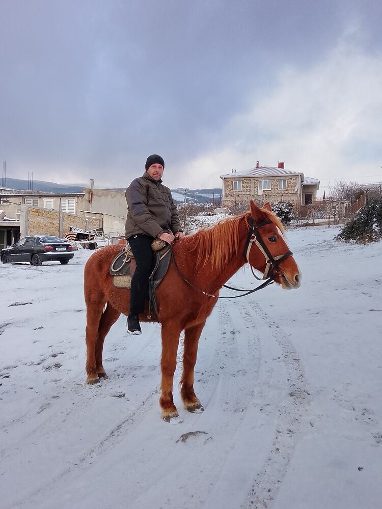 ���������� ������, ���� ������� ���, 38 ���, ������������ ��� ������, ����� � ���������