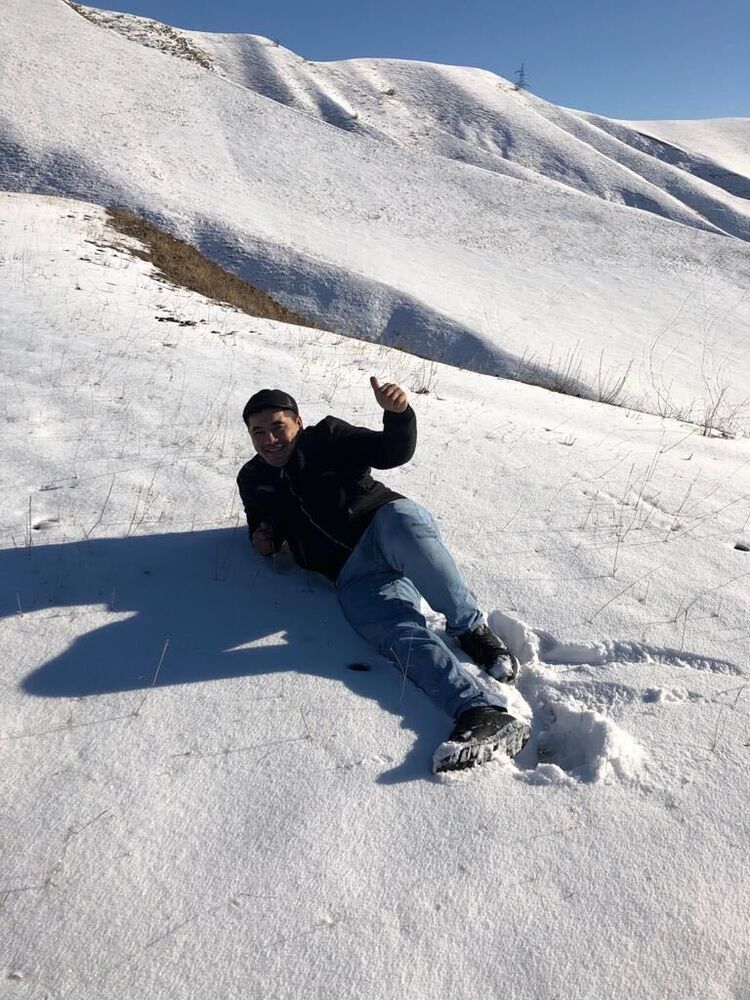  31460888  , 38 ,    