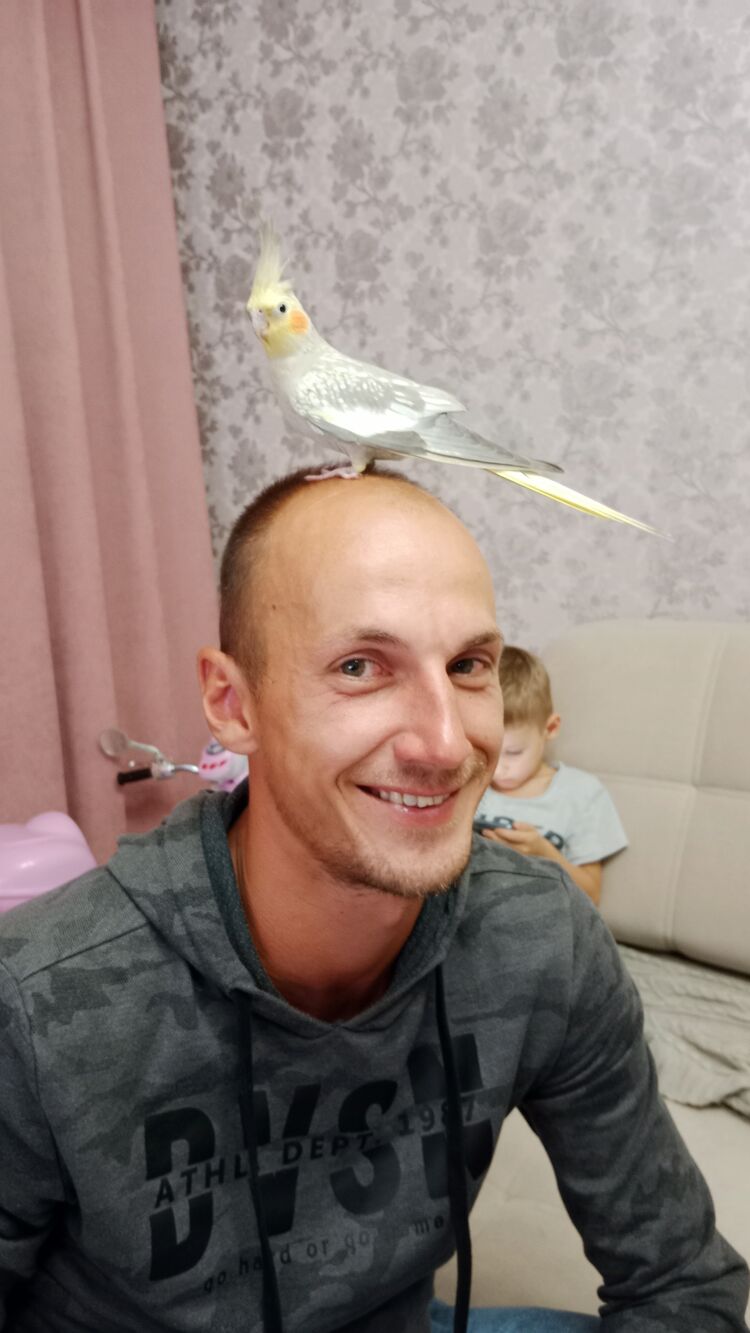  29083178  Denis, 35 ,    