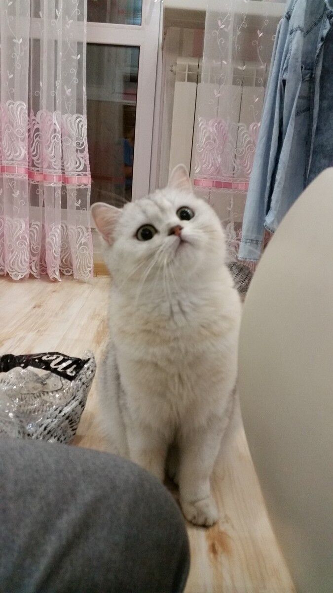  ,   , 79 ,  