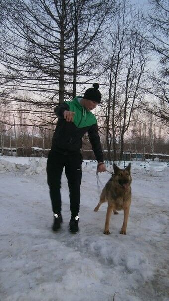  6673528  89374556777, 32 ,    