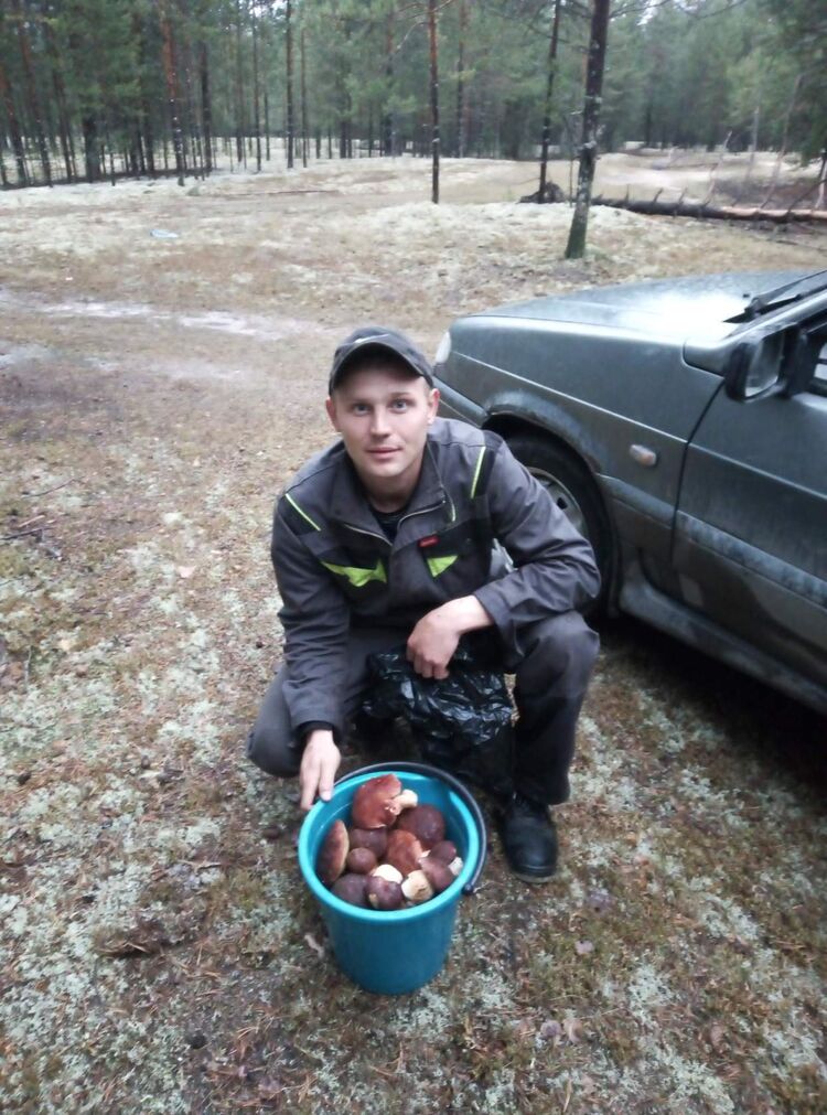 ���� 51868438 ������� ���������, 36 ���, ���� ���������� � ����������