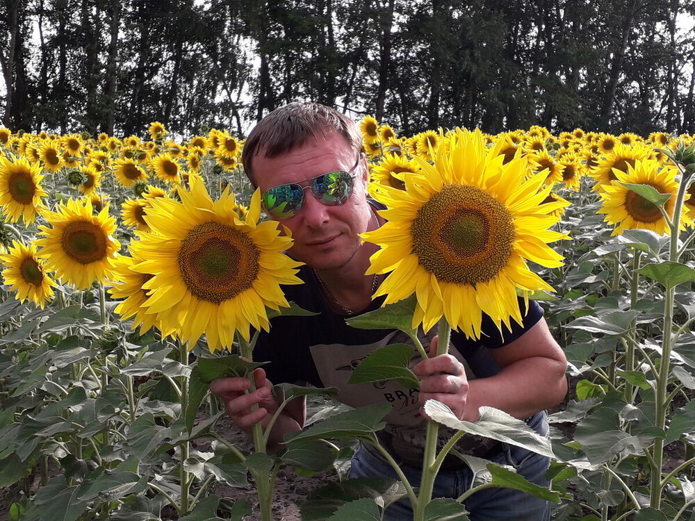 ���������� �������, ���� ������� ������, 48 ���, ������������ ��� ����� � ���������, c�������� ���������