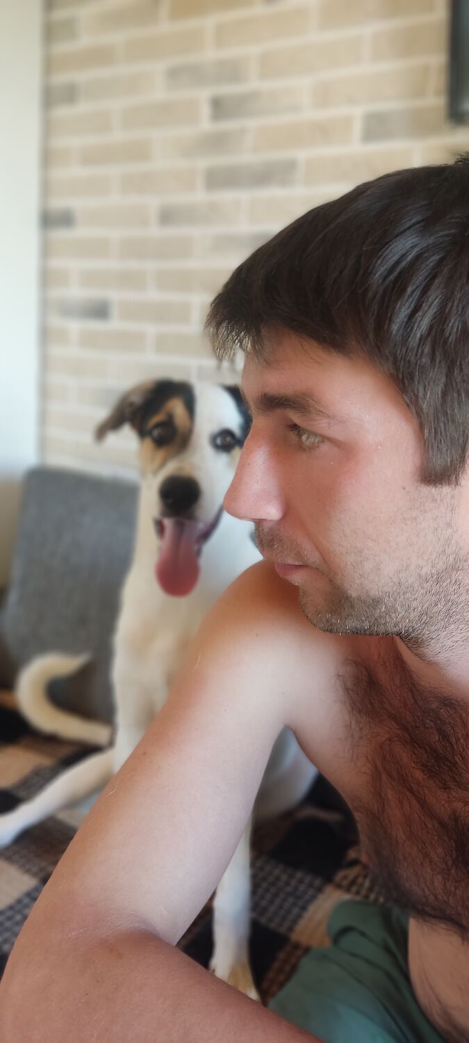 ���� 37176408 ������� ����, 32 ����, ���� ���������� � ������