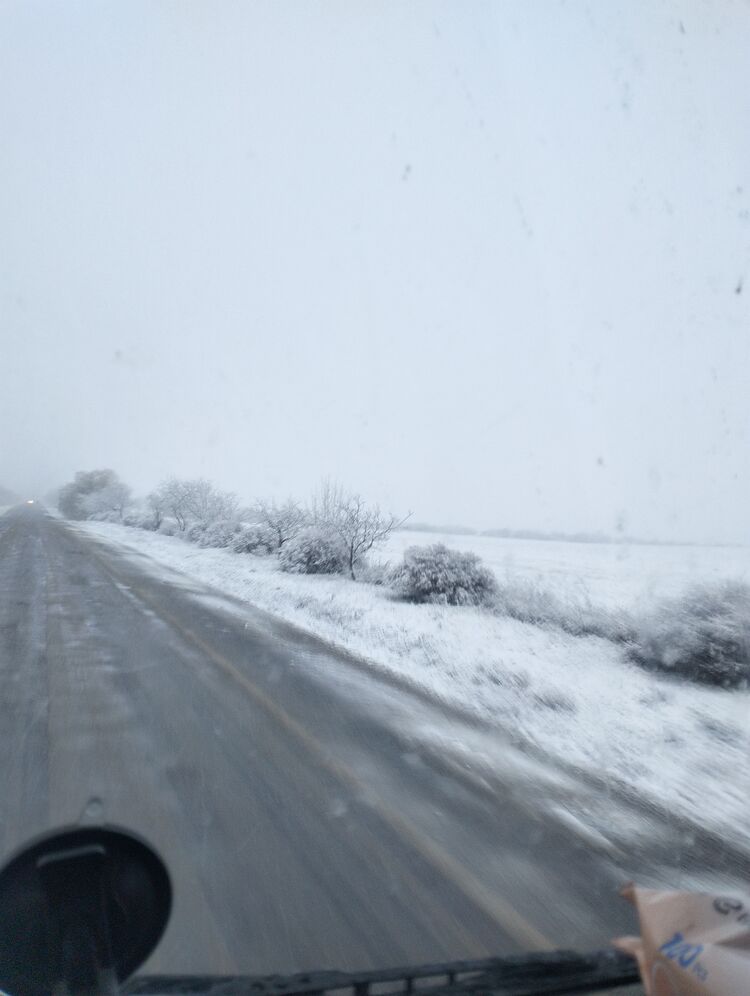 ���� 55039078 ������� �����, 37 ���, ���� ���������� � �������