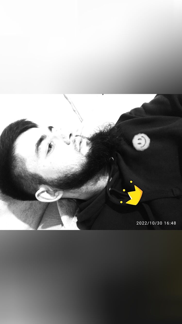  31049168  , 27 ,    