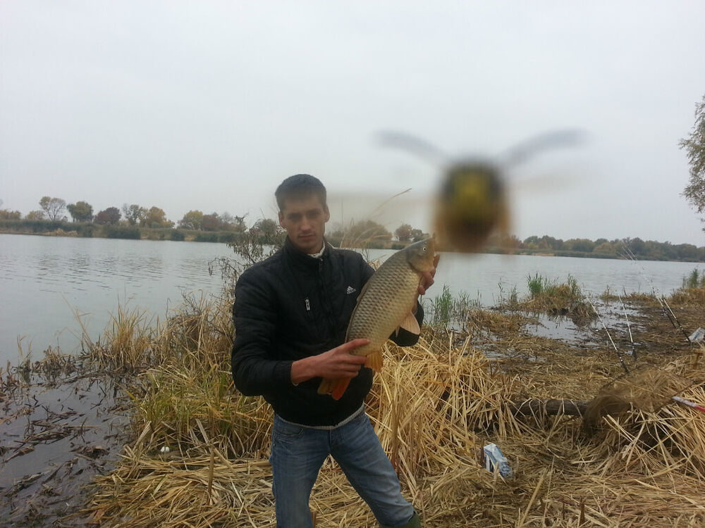 ���������� ������, ���� ������� ����, 37 ���, ������������ ��� ������, ����� � ���������, c�������� ���������