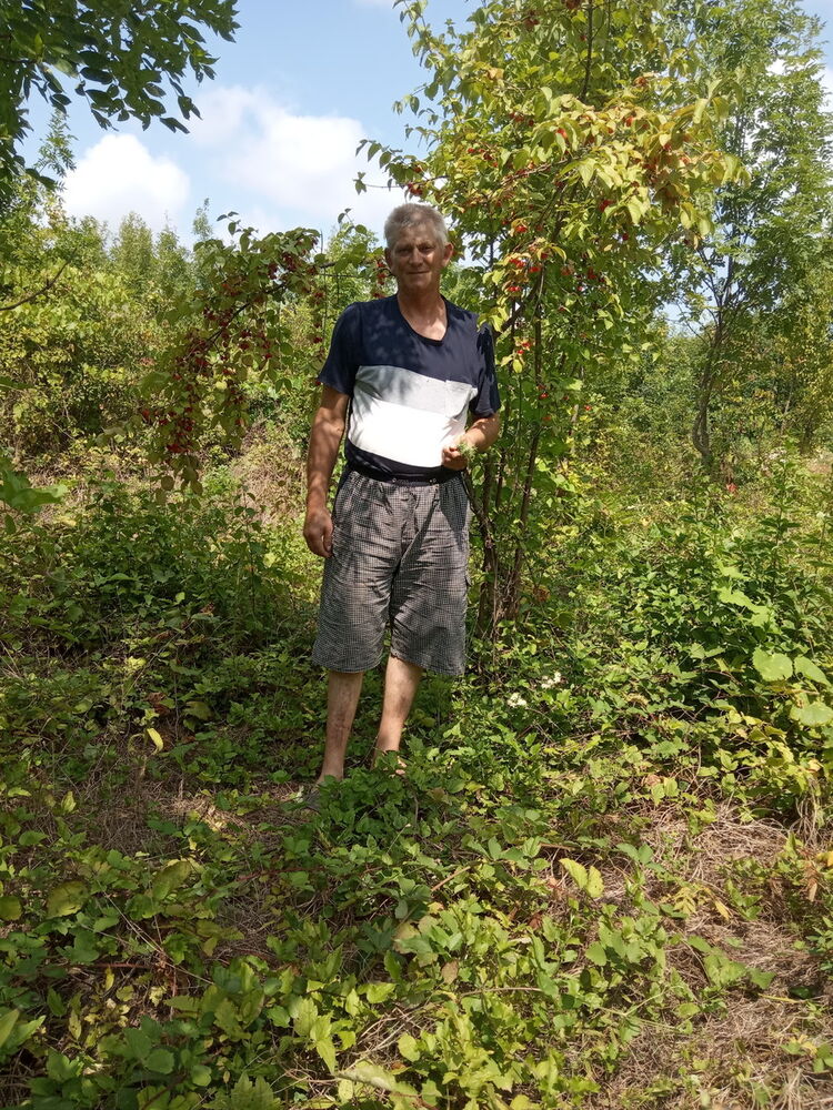 ���������� ������-��-����, ���� ������� ������, 61 ���, ������������ ��� ������, ����� � ���������, c�������� ���������