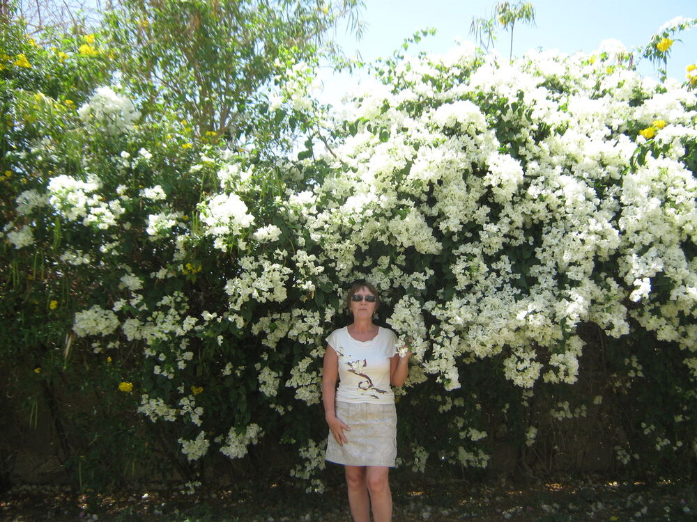  -,   , 64 ,   ,   , c 