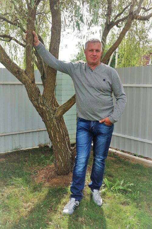 ���� 56181818 ������� ��������, 60 ���, ���� ���������� � ������������