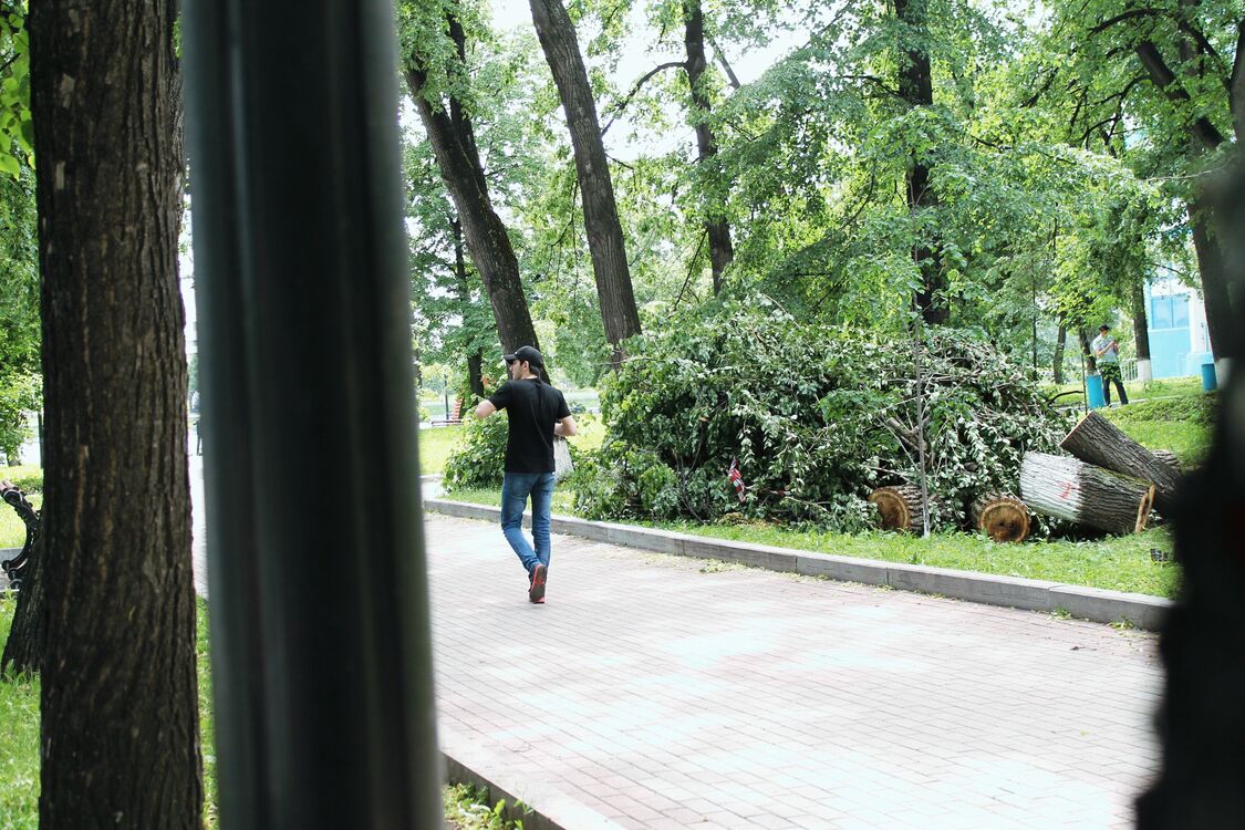 ���� 31118588 ������� Imod, 30 ���, ���� ���������� � �����