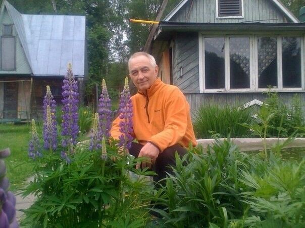 ���������� ������, ���� ������� �������, 70 ���, ������������ ��� ������, ����� � ���������, c�������� ���������