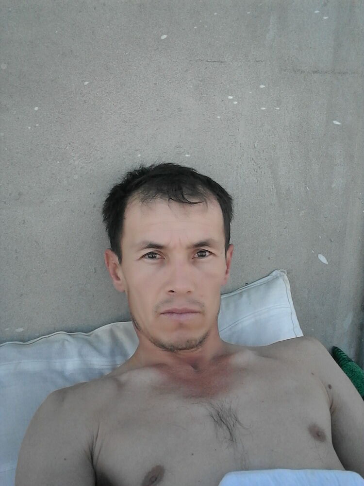  25379488  , 43 ,    