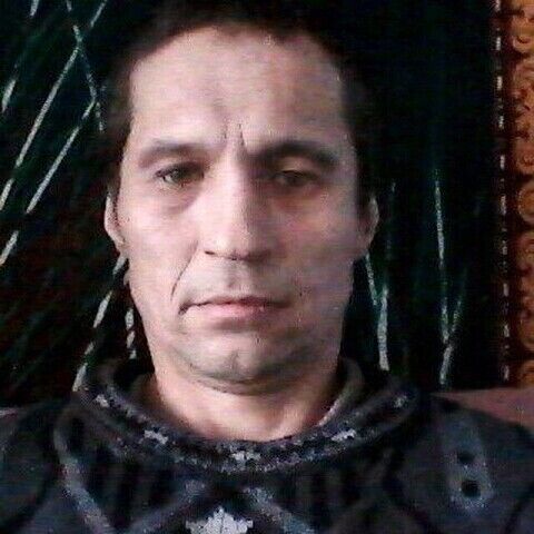 ���� 55810508 ������� DIMA, 48 ���, ���� ���������� � ��������