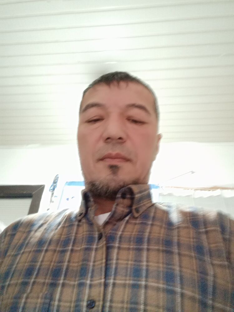  48031478  , 43 ,    
