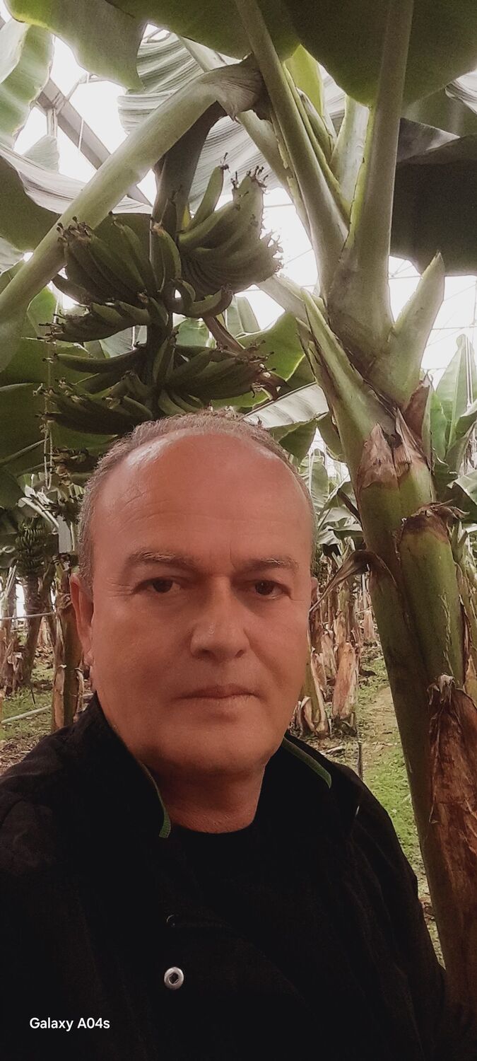  ,   Musa, 49 ,   ,   