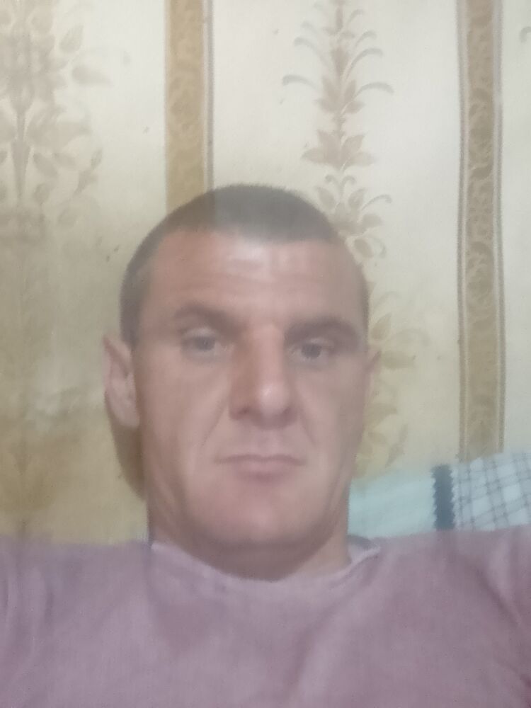  38342838  , 38 ,    