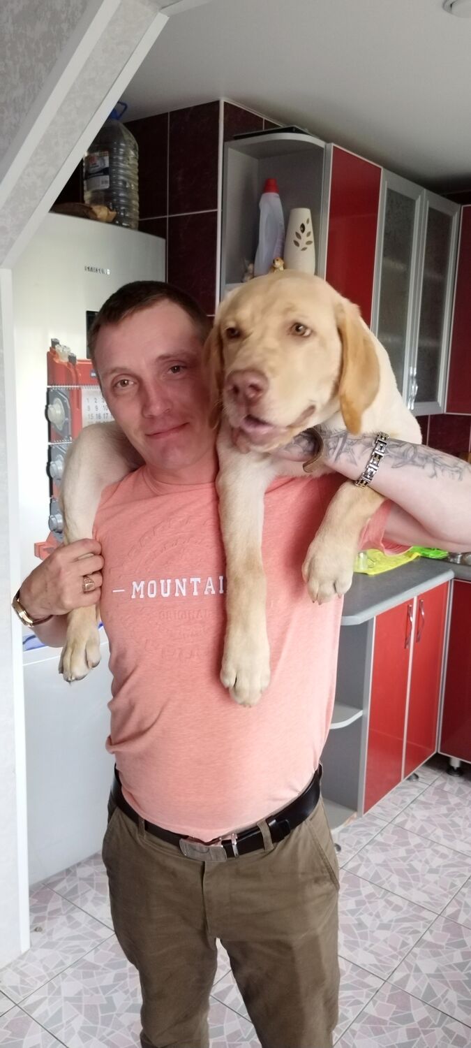 ���������� ������, ���� ������� ���������, 40 ���, ������������ ��� ������, ����� � ���������, c�������� ���������, ���������