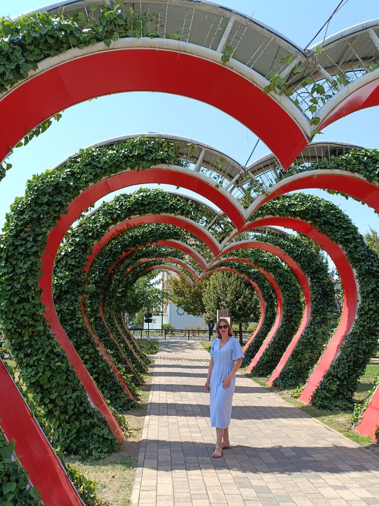 ���� 55386588 ������� ������, 39 ���, ���� ���������� � ������