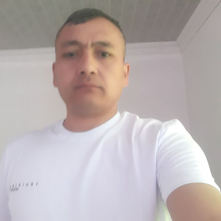  33393288  , 42 ,    