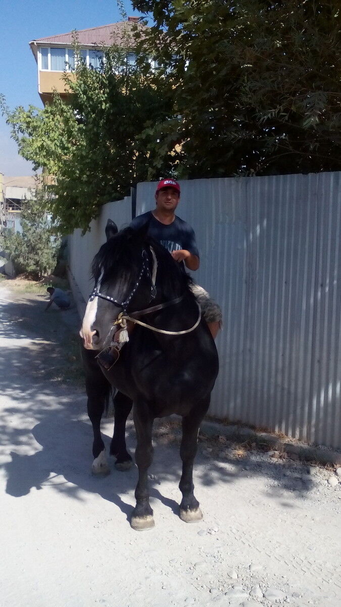  18595988  Fidanza, 38 ,    