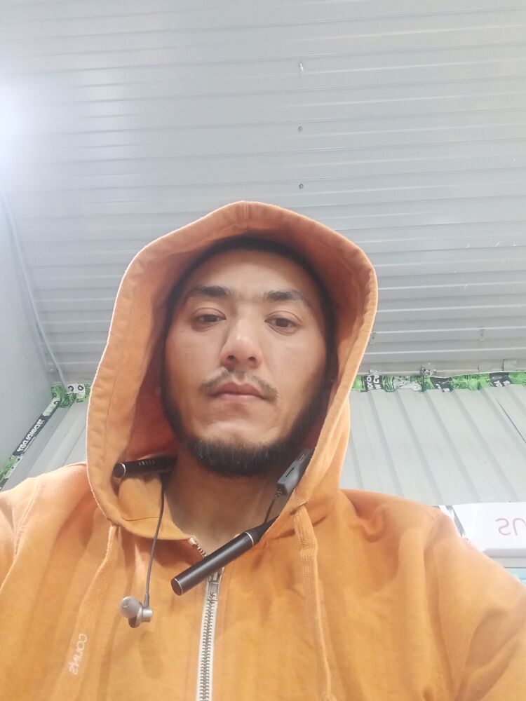 52067488  , 25 ,    
