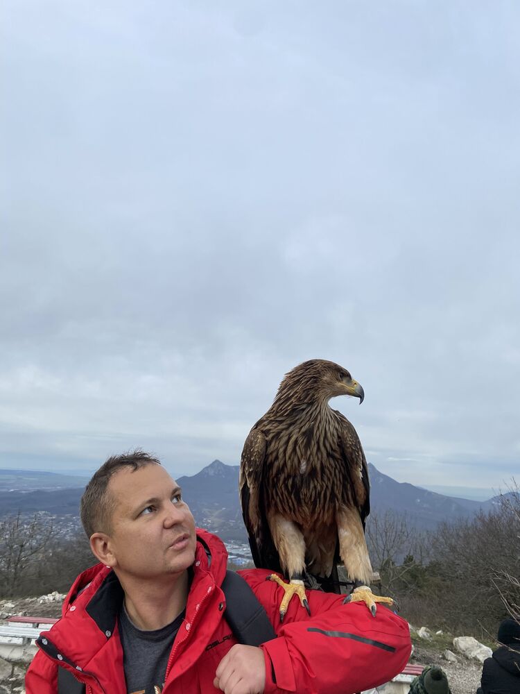 ���������� �����, ���� ������� ���������, 36 ���, ������������ ��� ������, c�������� ���������