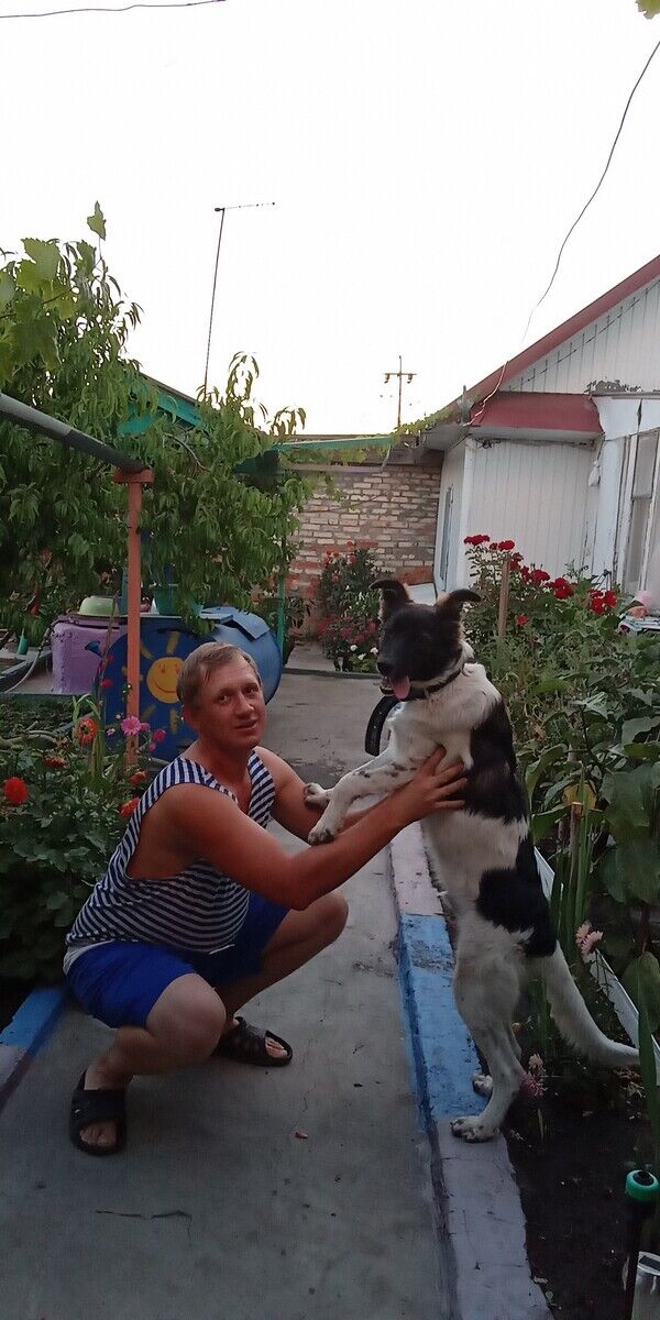 ���������� �������, ���� ������� ������, 40 ���, ������������ ��� ������, ����� � ���������, c�������� ���������