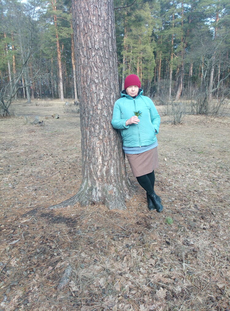 ���������� �����������, ���� ������� �����, 66 ���, ������������ ��� ������, ����� � ���������