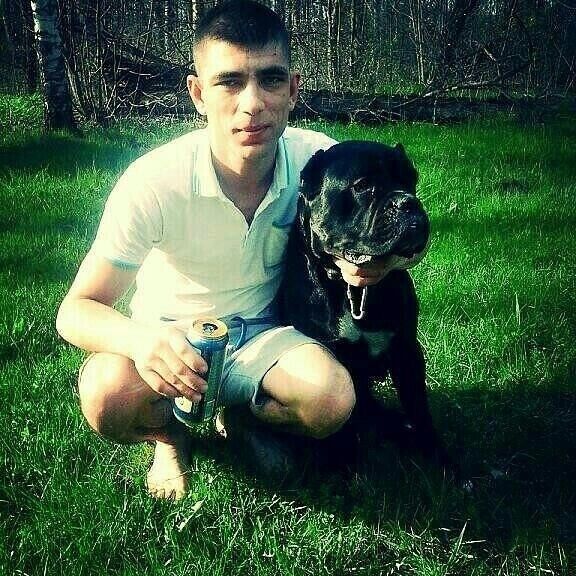 ���������� �������, ���� ������� Vasea, 37 ���, ������������ ��� ������, ����� � ���������