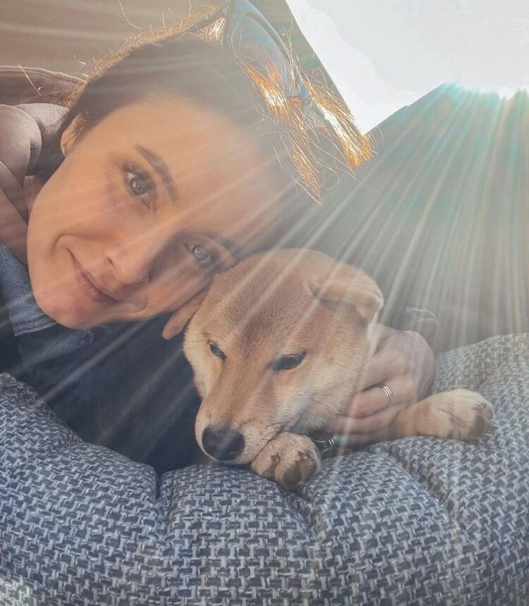 ���� 52662588 ������� �����, 33 ����, ���� ���������� � ������