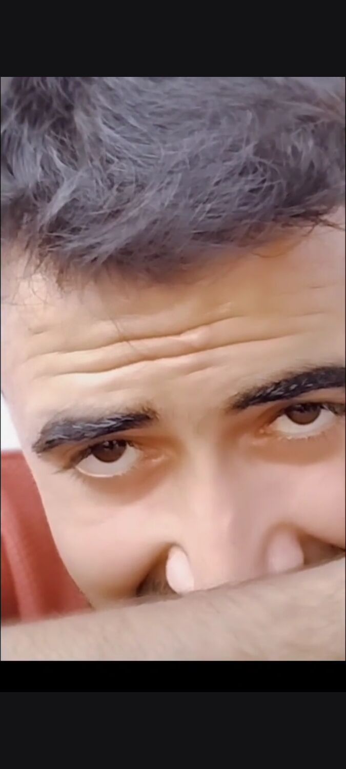  38499588  , 29 ,    