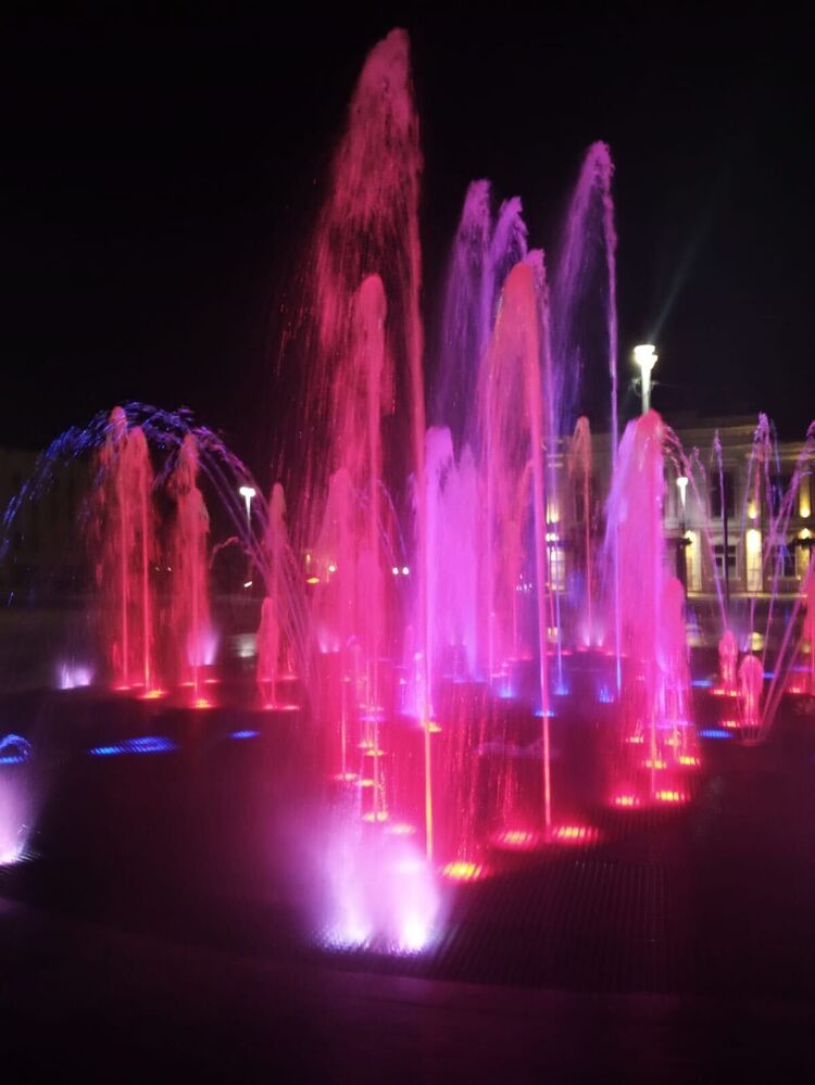 ���� 37102088 ������� ����, 43 ����, ���� ���������� � ����