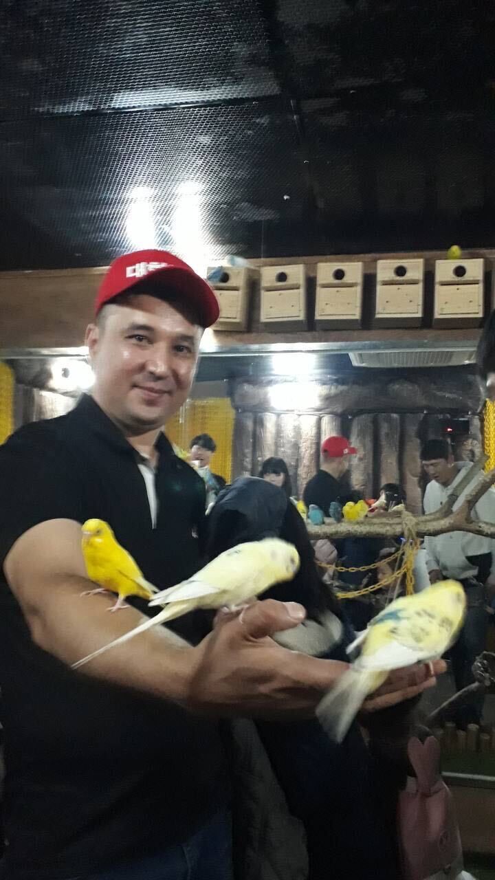  ,   , 42 ,   ,   , 