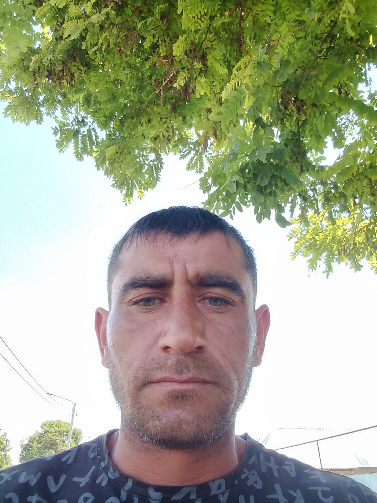  44779898  , 37 ,    